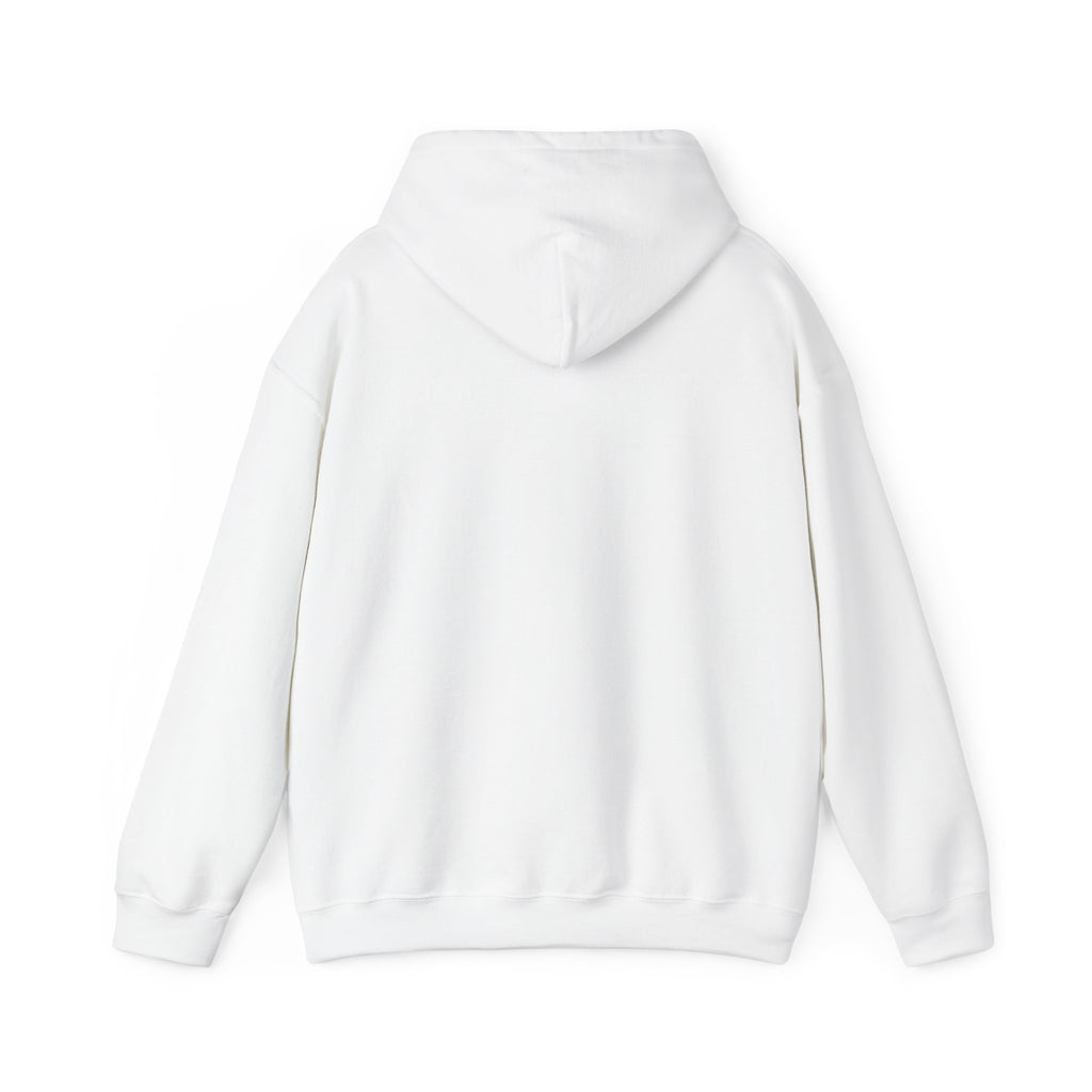 Vintage Sailboat Hoodie • 'Sail Away' Nautical Travel Graphic Pullover