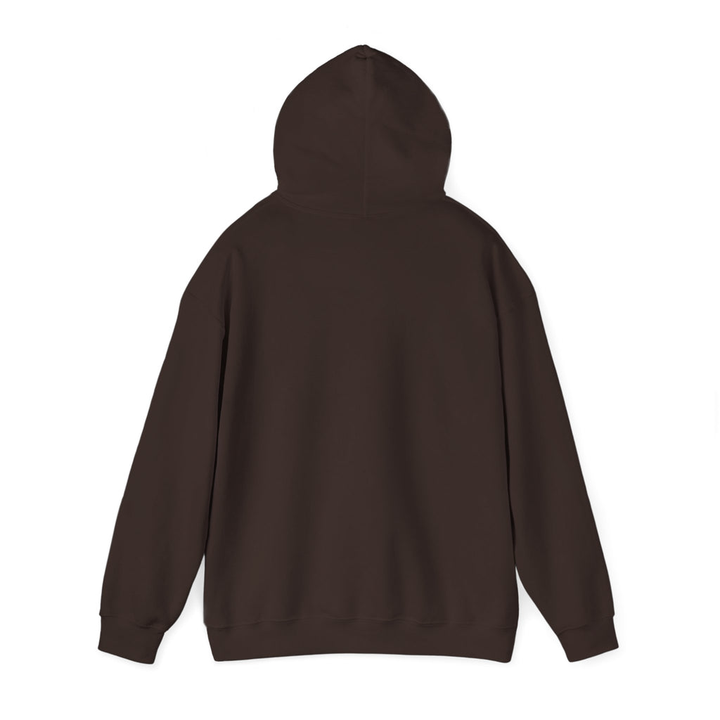 Faith Over Fear Hoodie — Vintage Dove Inspirational Pullover