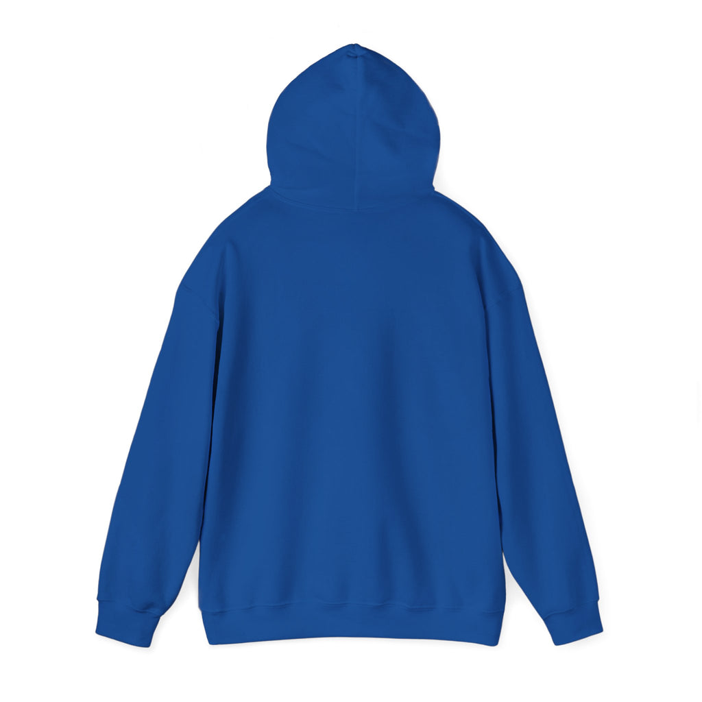 Faith Over Fear Hoodie — Vintage Dove Inspirational Pullover
