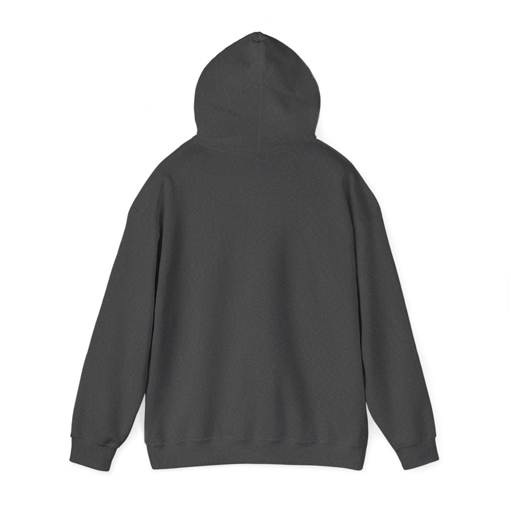 Faith Over Fear Hoodie — Vintage Dove Inspirational Pullover