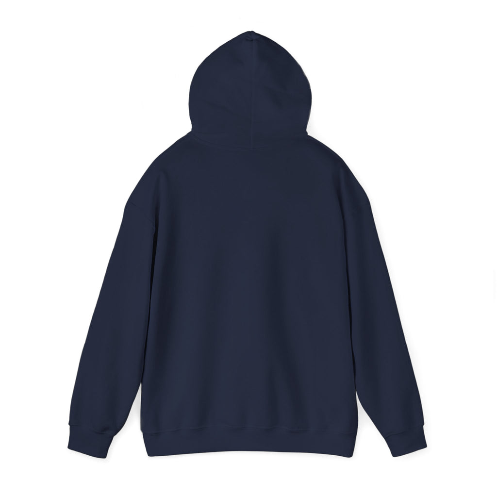 Faith Over Fear Hoodie — Vintage Dove Inspirational Pullover