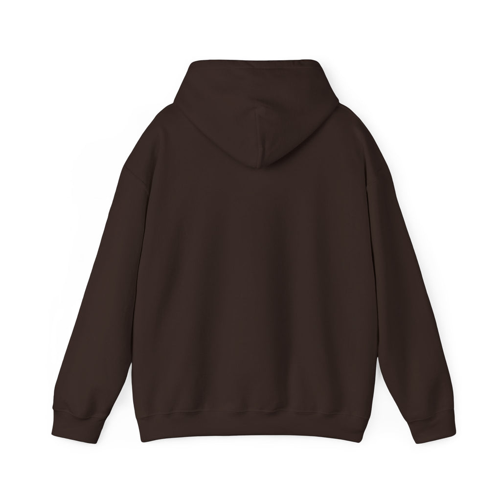 Faith Over Fear Hoodie — Vintage Dove Inspirational Pullover