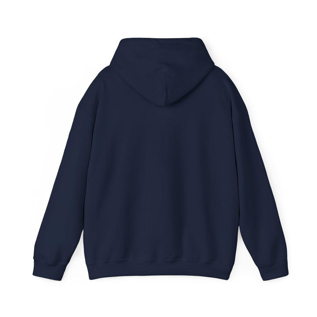 Faith Over Fear Hoodie — Vintage Dove Inspirational Pullover