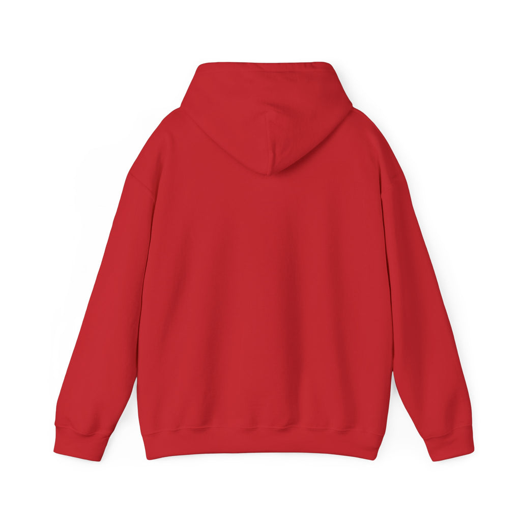Faith Over Fear Hoodie — Vintage Dove Inspirational Pullover