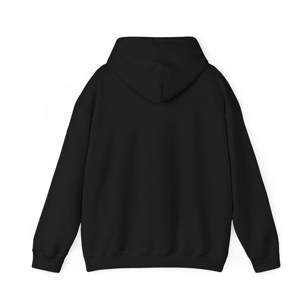 Vintage Sailboat Hoodie • 'Sail Away' Nautical Travel Graphic Pullover