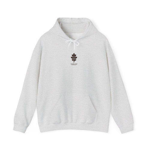 Autumn Oak Tree Hoodie — "Do Not Be Deceived" Fall Faith Sweatshirt