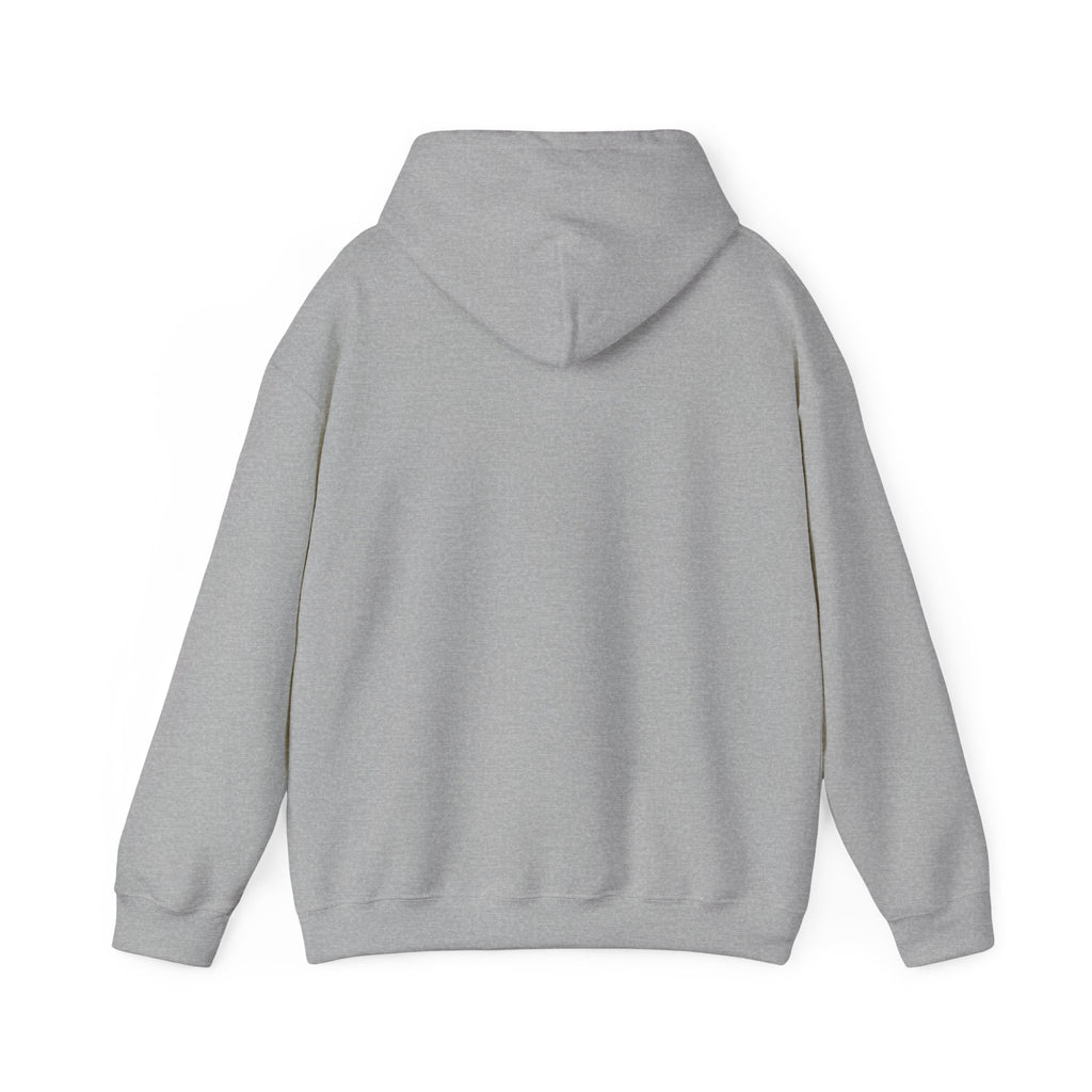 Faith Over Fear Hoodie — Vintage Dove Inspirational Pullover